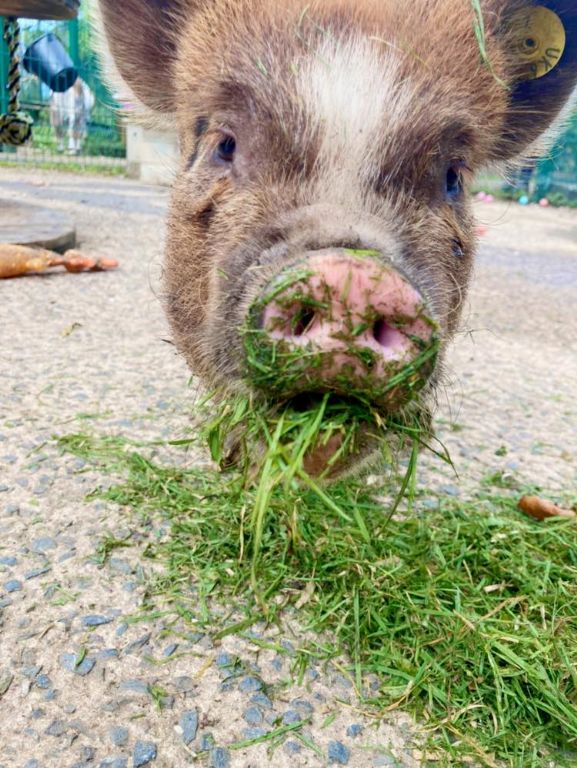 118693177 3235506986539057 3110150452108578353 o