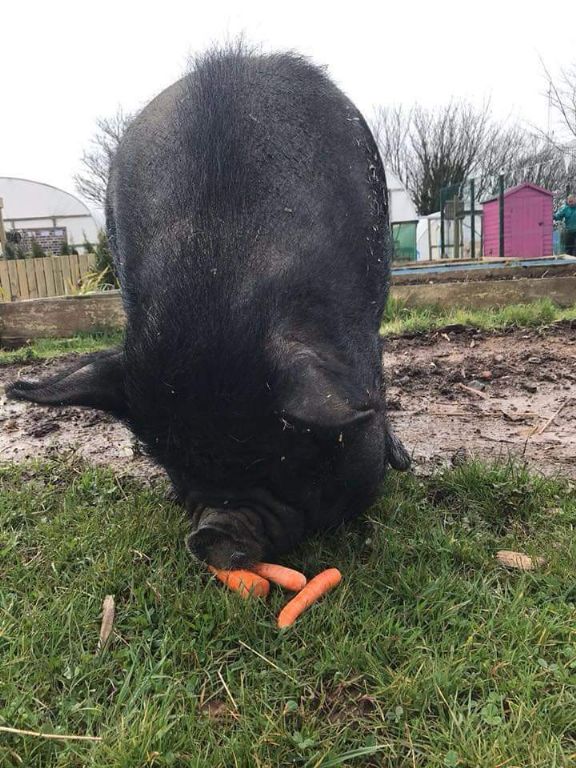 facebook 1572011442159