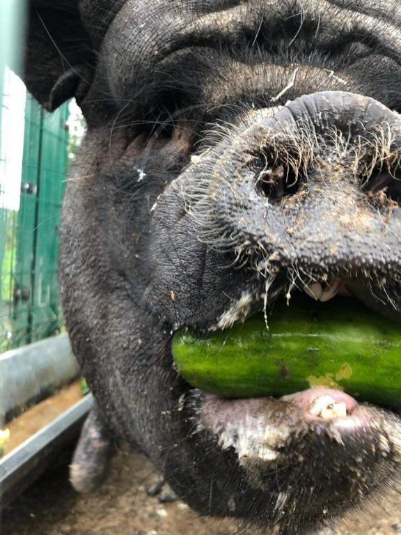 facebook 1572011531152